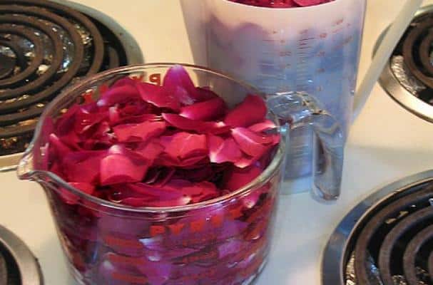 Best Homemade Astringents For Oily Skin With Rose Water