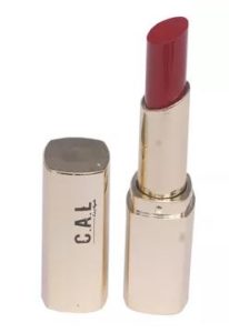 Oxblood Maroon CAL Intense Matte Lipstick
