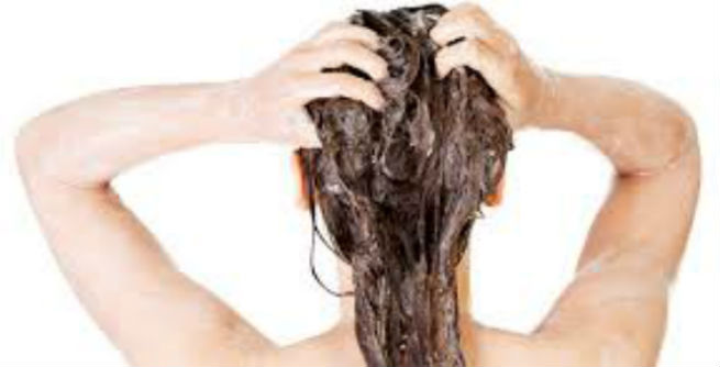 Benefits Of Shikakai For Hair As Hair Cleanser